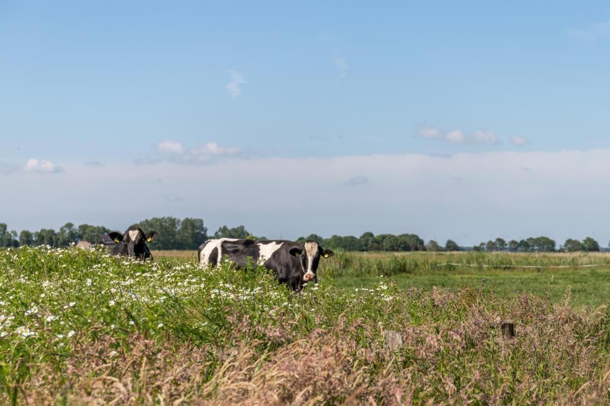 Appartamento Friesenhof Janssen - Urlaub Auf Dem Bauernhof Neuharlingersiel Esterno foto