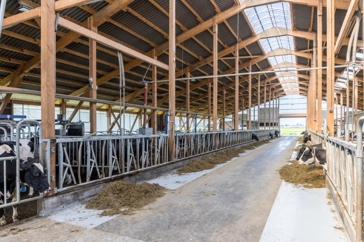 Appartamento Friesenhof Janssen - Urlaub Auf Dem Bauernhof Neuharlingersiel Esterno foto