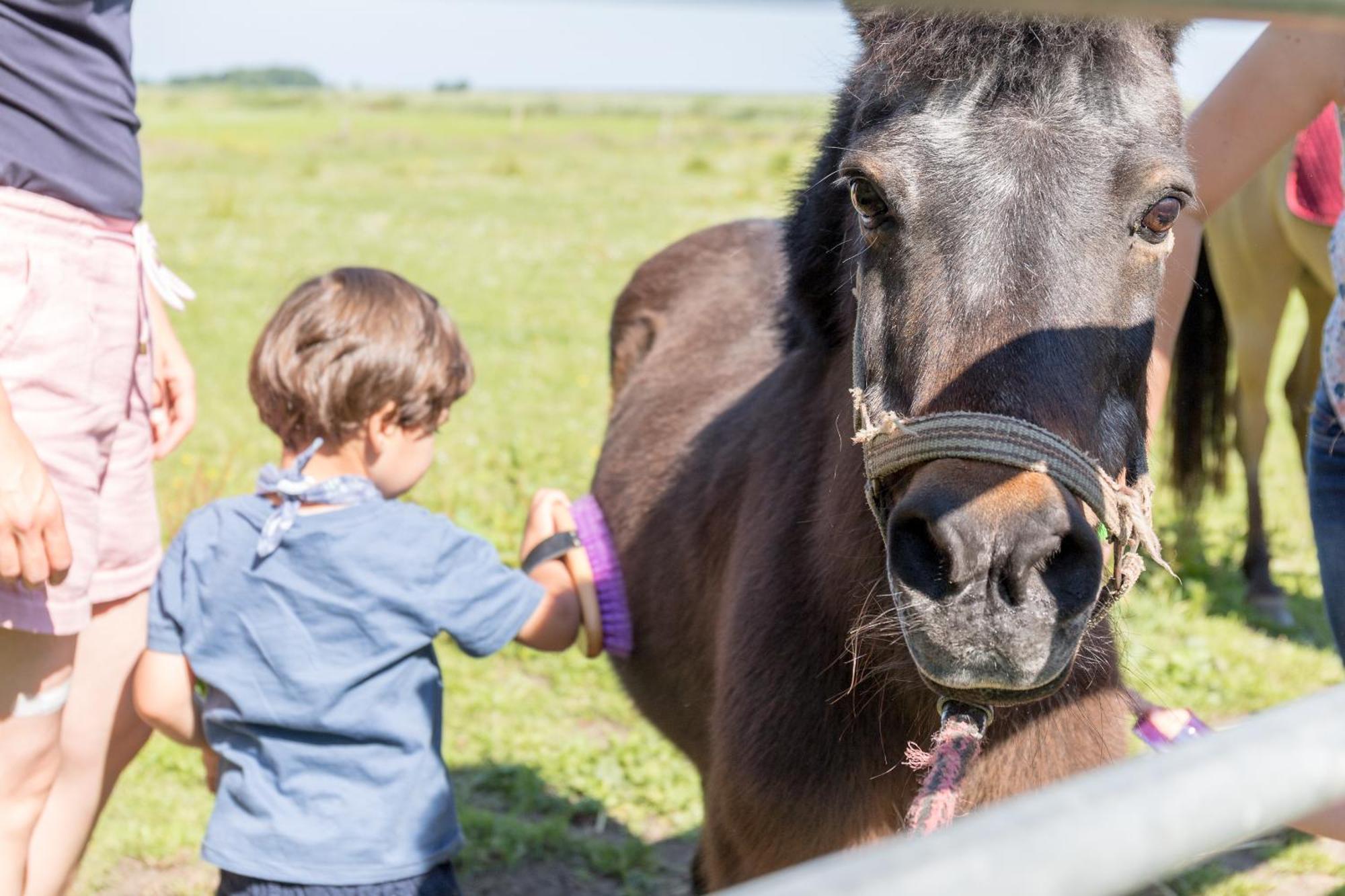 Appartamento Friesenhof Janssen - Urlaub Auf Dem Bauernhof Neuharlingersiel Esterno foto
